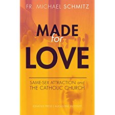 Made For Love Same Sex Attraction And The Catholic Church By Schmitz