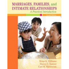 Marriages, Families, And Intimate Relationships: A Practical ...