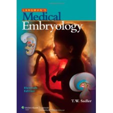 Langman's Medical Embryology by Sadler, T. W. (9780781790697)