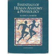 Essentials of Human Anatomy & Physiology by Elaine Nicpon Marieb ...