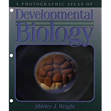 Photography visual data 8