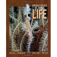 principles of life david hillis