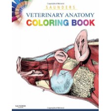 Saunders Veterinary Anatomy Coloring Book by Baljit Singh BVSc &amp; AH