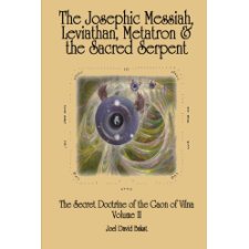 The Secret Doctrine of the Gaon of Vilna Volume II: The Josephic ...