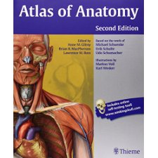 Atlas of Anatomy by Gilroy, Anne M (9781604067453)