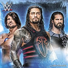 WWE Wall Calendar (2019) by Day Dream (9781635712704)