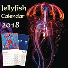 Jellyfish Calendar 2018 by Jellyfish Calendar (9781981512249)
